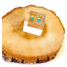 Ασημένια Σκουλαρίκια καρφωτά επίχρυσα με ζιργκόν (SE40)